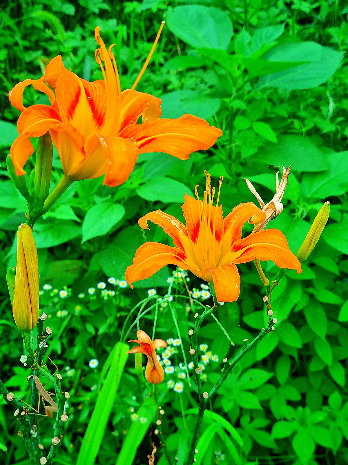 경기도 파주 대형 베이커리 카페, 공릉 저수지 뷰 모쿠슈라 (2호점)