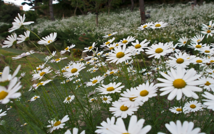 대구 네이처파크