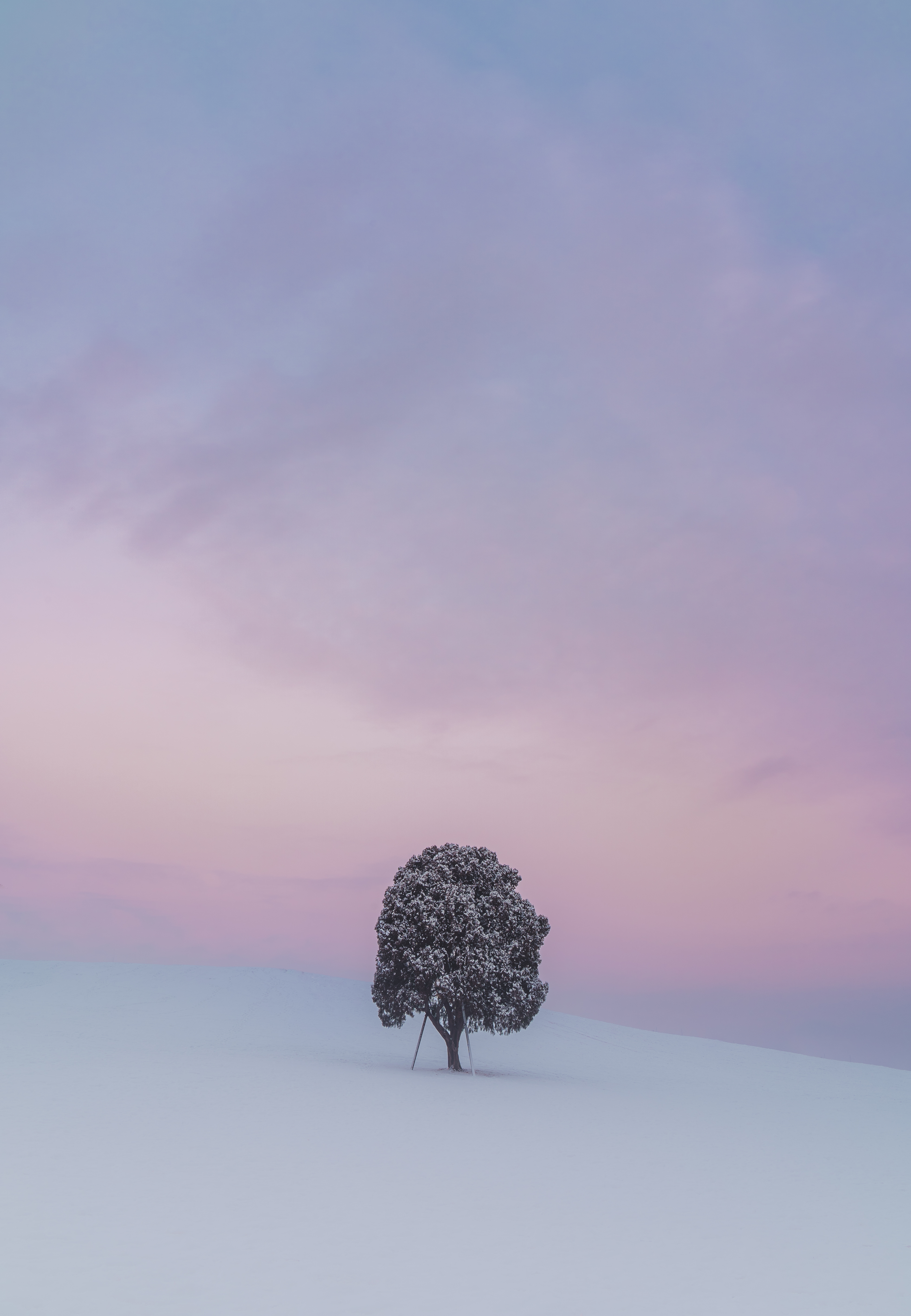 Alpha 7 IIIㅣSEL2470GMㅣ@pic._.key