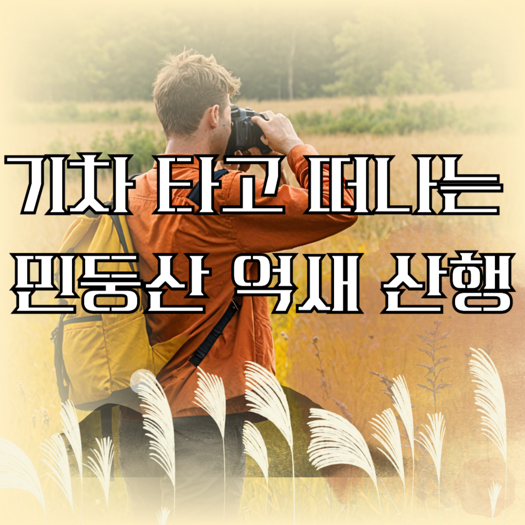 '기차 타고 떠나는 민둥산 억새 산행'이라는 제목과 함께, 은빛 억새가 넘실거리는 민둥산 정상을 배경으로 달리는 기차