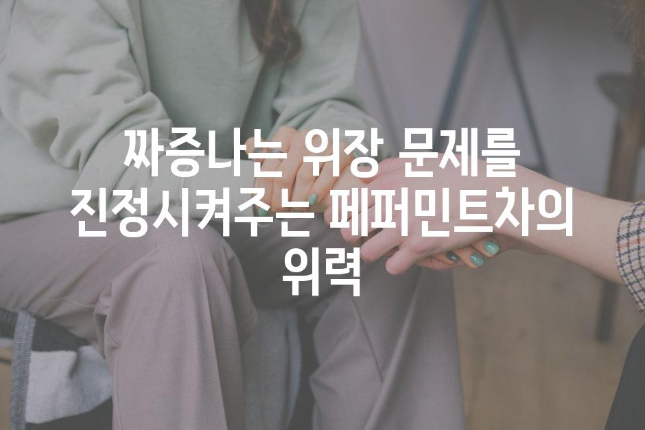 짜증나는 위장 문제를 진정시켜주는 페퍼민트차의 위력
