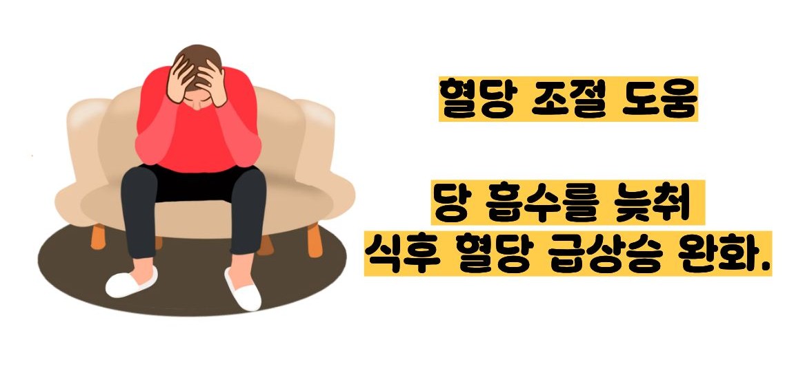 귀리 효능과 부작용