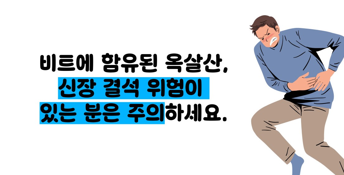 비트 효능 및부작용