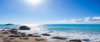 청년도약계좌 은행별 금리