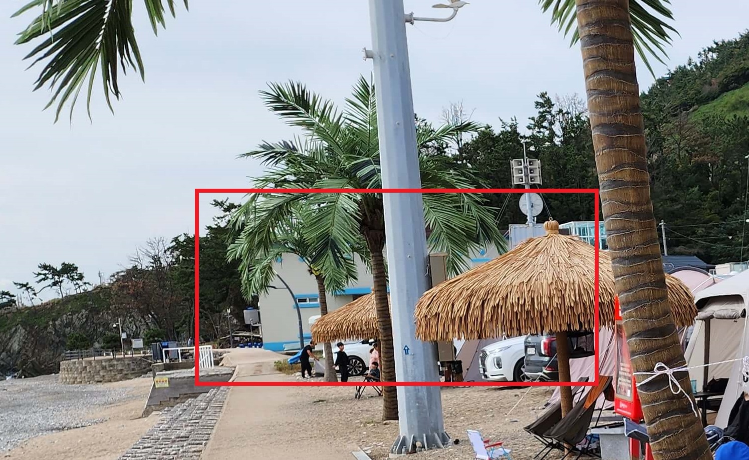 경남 노지차박 캠핑지 경주관성솔밭해변7