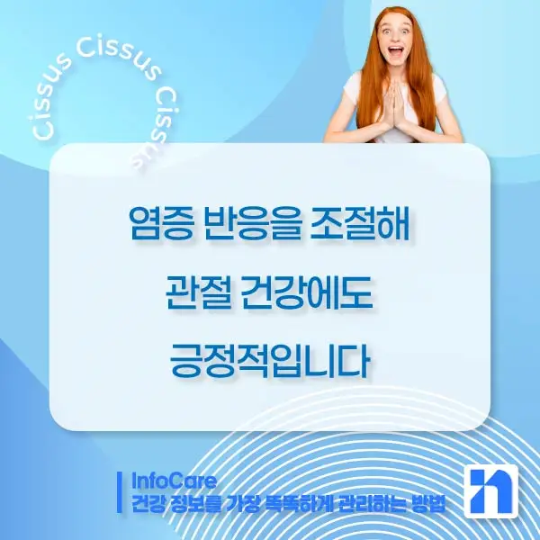 시서스 효능
