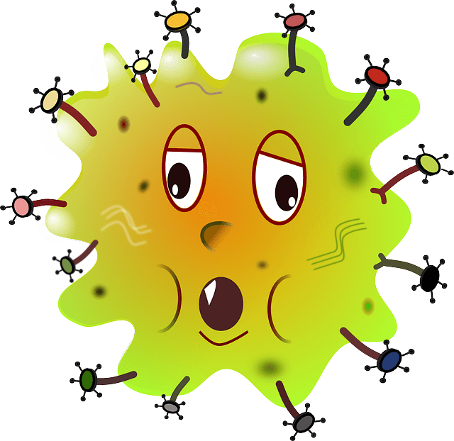 기관지에 좋은 음식 호두기름