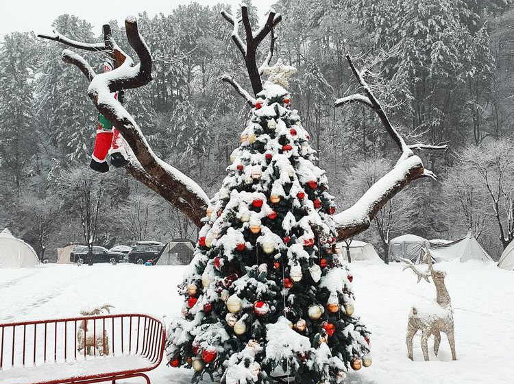 가평군 캠프올모 캠핑장 소개