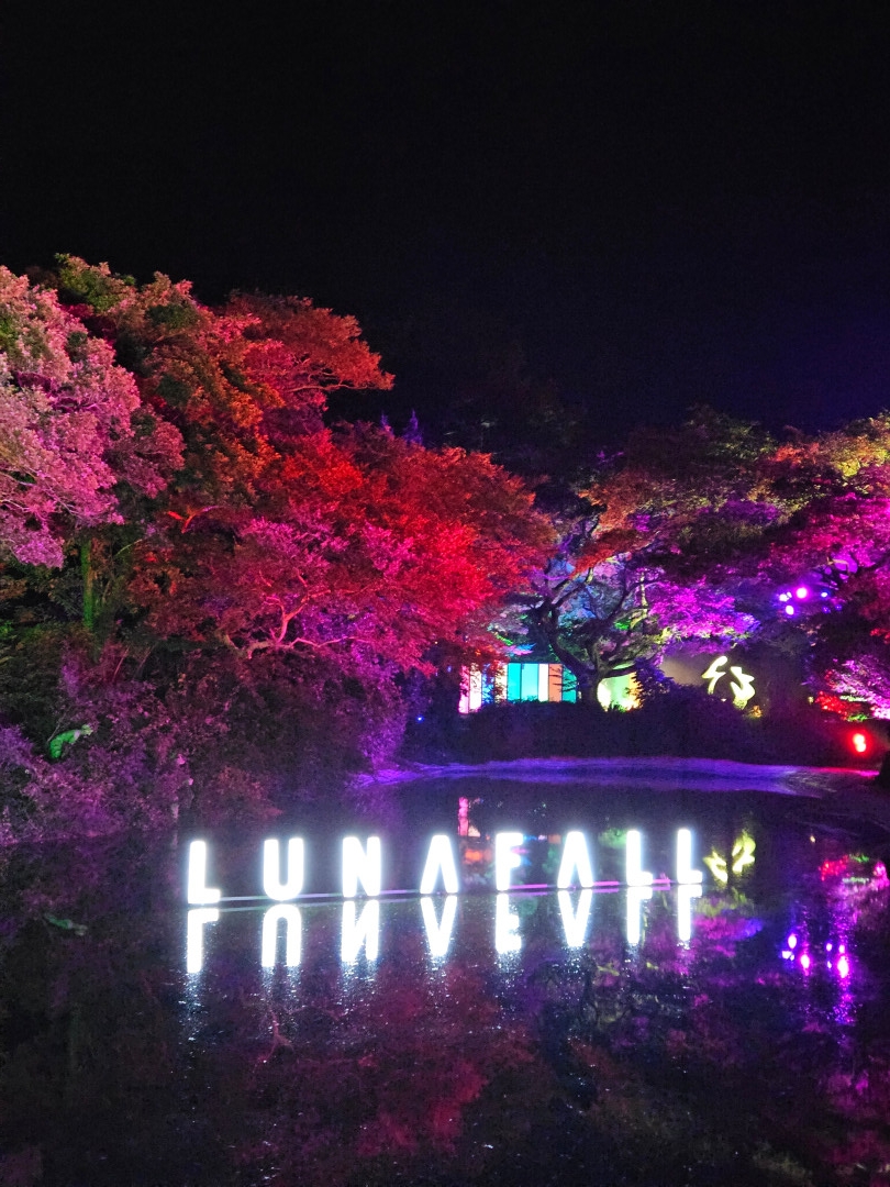 루나폴 미디어아트