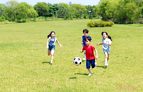 마무리: 잔디밭에서 공놀이하는 어린이들