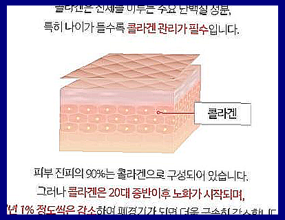 전지현 비비랩 콜라겐