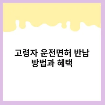 운전면허 반납 혜택 교통비 지원 대체교통 안전 이동법_22