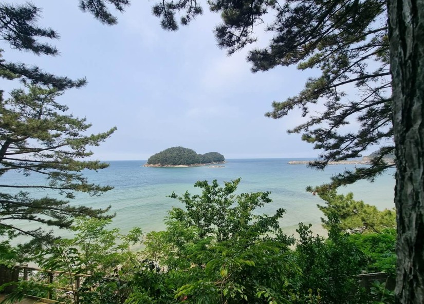 천리포수목원-낭새섬