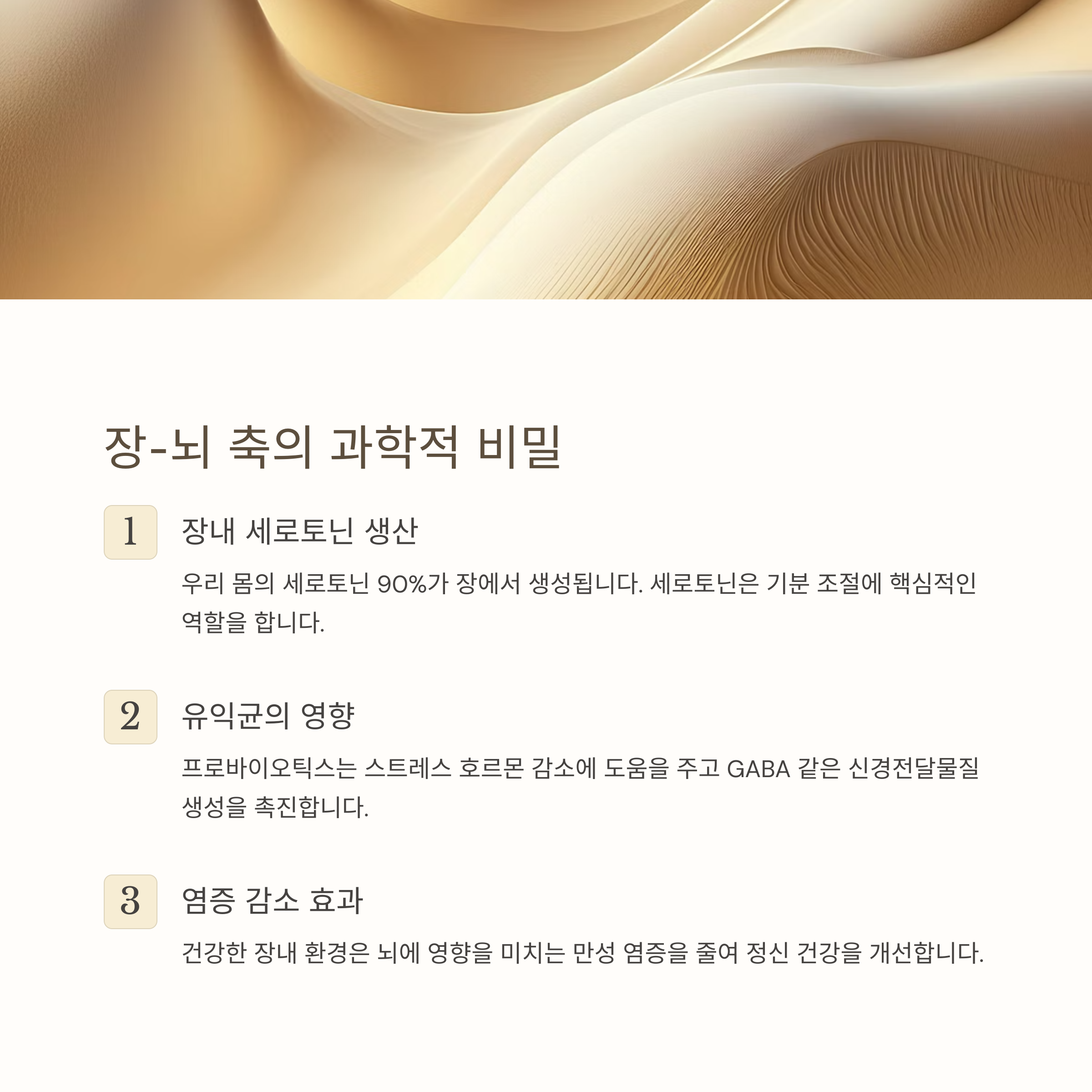 꾸준함이 장 건강과 뇌 활성화의 열쇠!