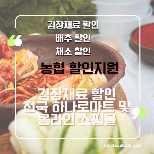 김장 재료 할인 채소 할인 배추