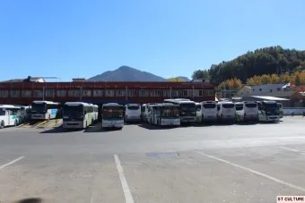 태백 고한 도계 시외버스 터미널 시간표 예매 요금_7