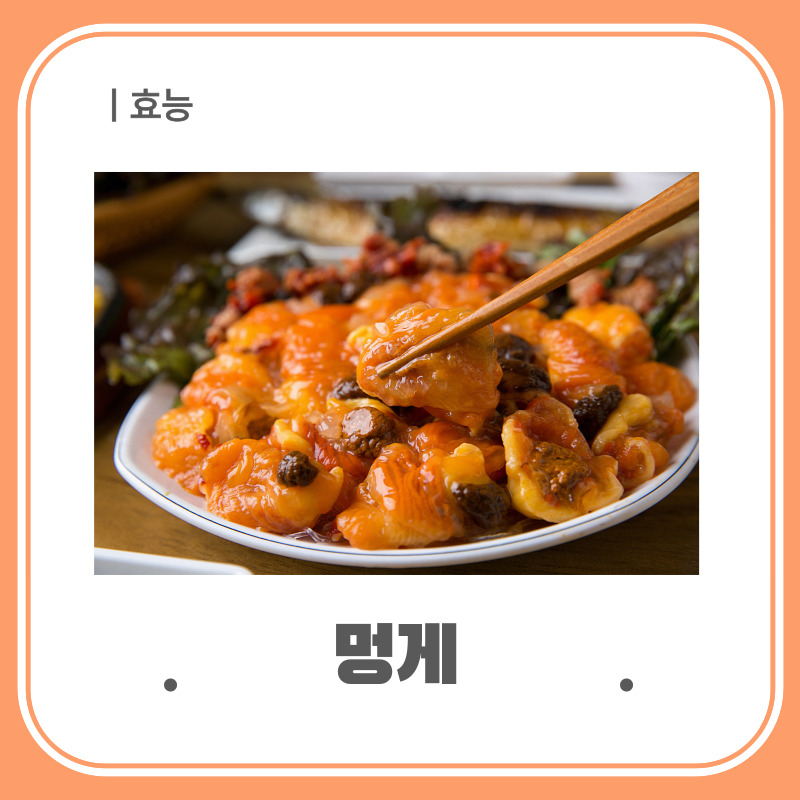 멍게의 효능