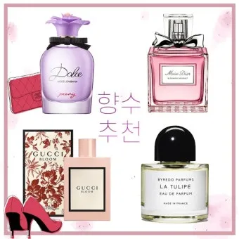 디퓨저 선물 플로럴 시트러스 허브 계절과 공간에 어울리는 향 추천_3
