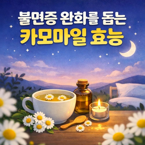 불면증 완화를 돕는 카모마일 효능 썸네일