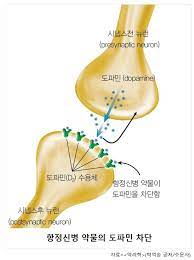 파민 D2 수용체를 부분적으로 활성화