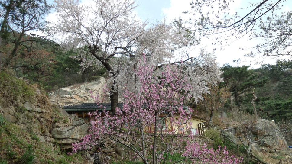 100대 명산 등산하기 스물아홉번째 경주 남산 1000년 유적의 고향 신라의 땅 우리나라에서 2번째 국립공원으로 지정된 경주 남산