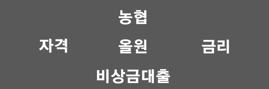 농협 올원 비상금대출