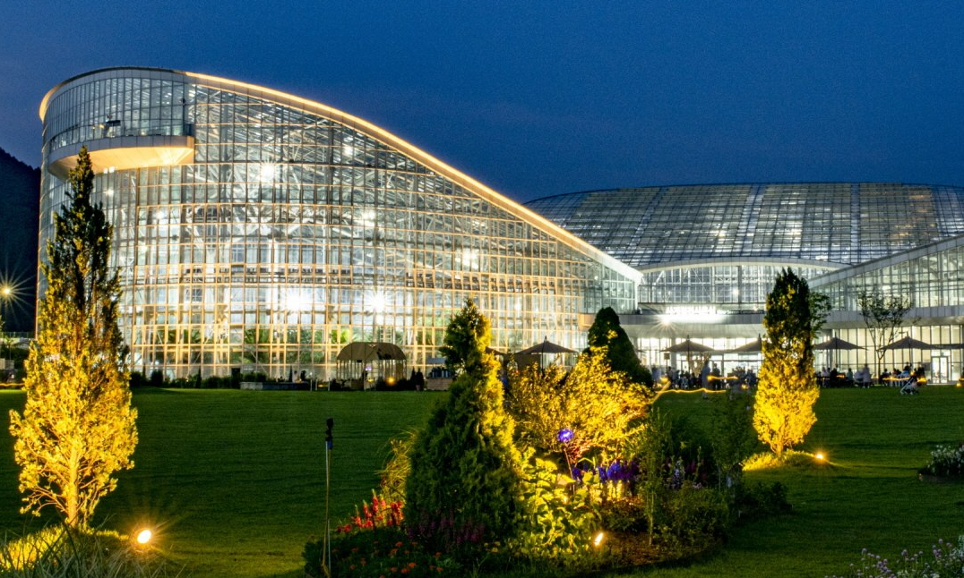 세종수목원 야간개장 시작 반딧불이부터 불빛정원까지