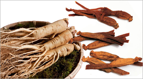 인삼과 홍삼 무엇이 더 좋을까