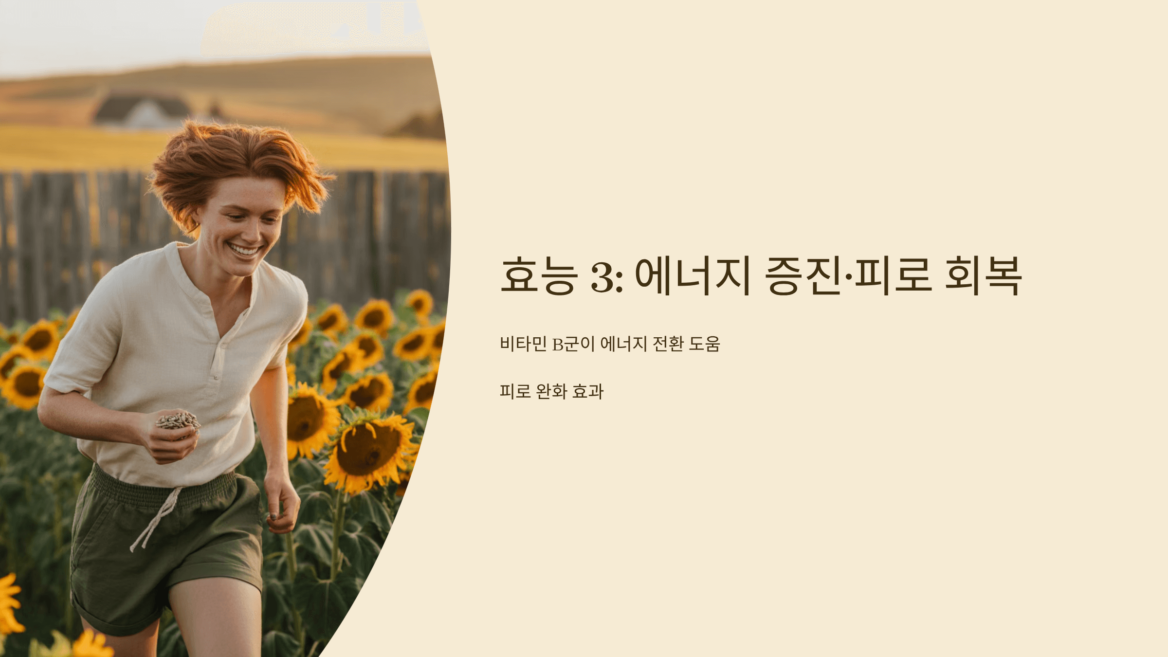 해바라기씨 사진입니다.