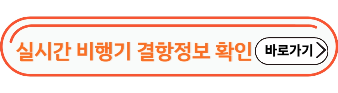 실시간 비행기 결항정보 확인