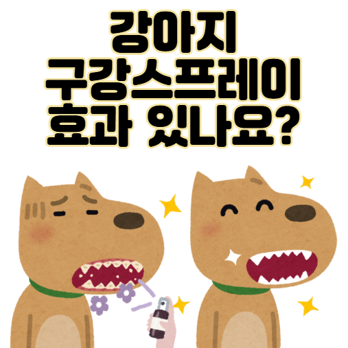 강아지 구강스프레이 효과 있나요? 3가지 기준 그리고 치석 뚝...후기