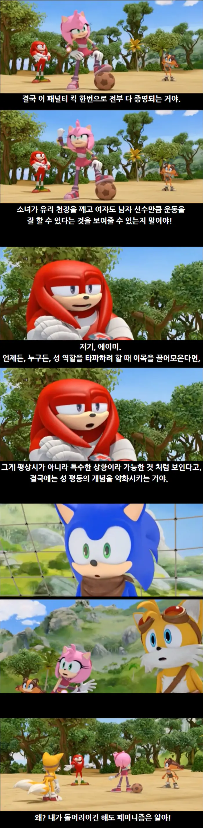 페미니즘에 일침하는 소닉