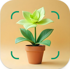 꽃이름 찾기 앱, 사진 이미지로 꽃 찾기