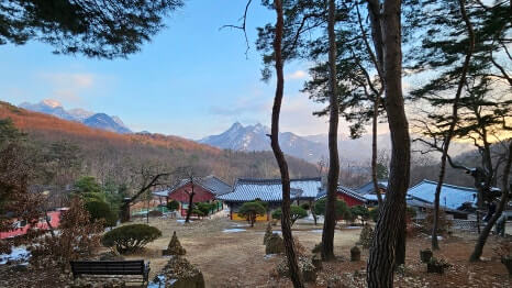 고양시 흥국사 : 수도권 깊은 산사에서 만나는 천년 고찰 역사와 수행, 자연이 어우러진 전통 사찰