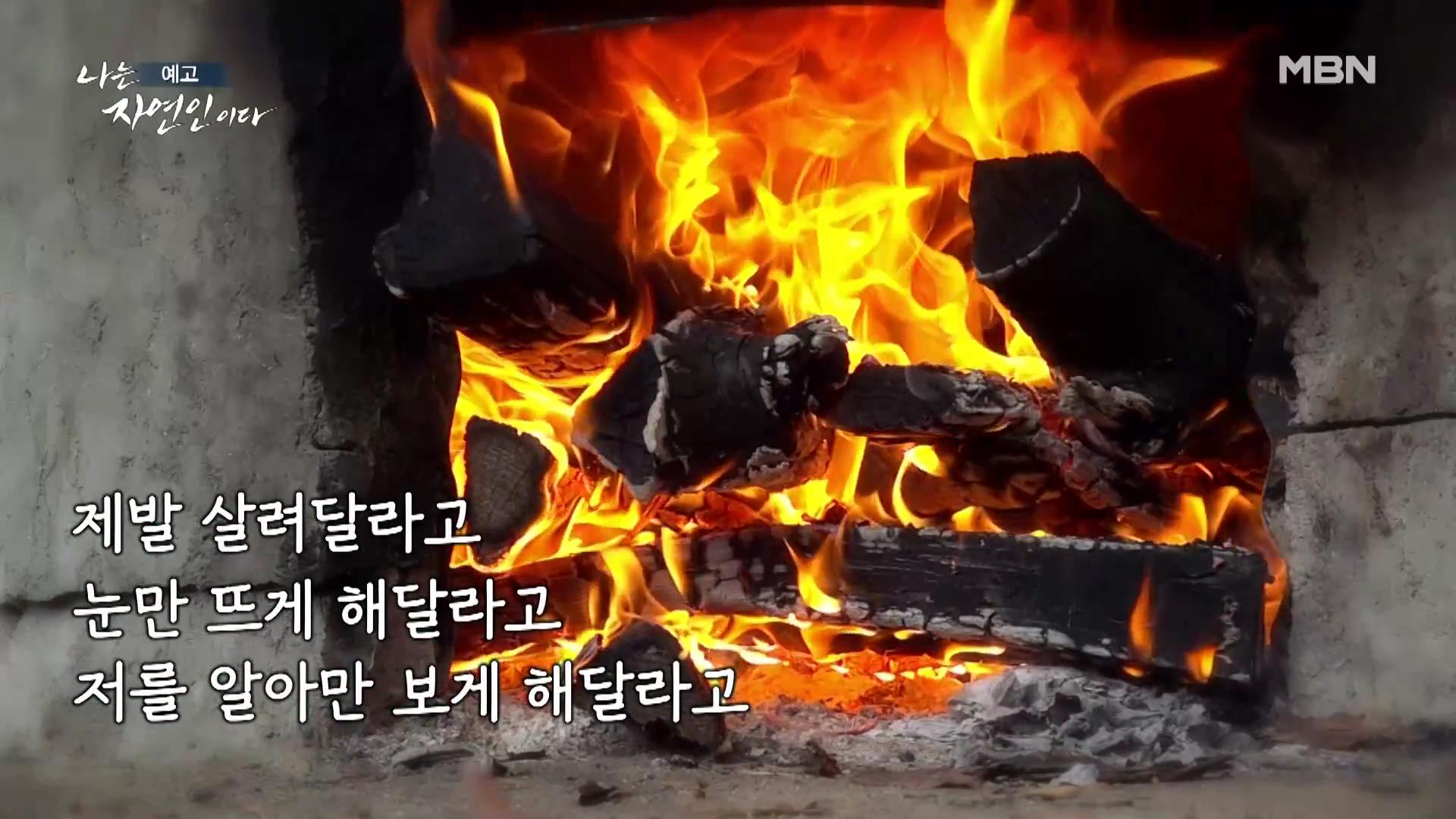 나는 자연인이다 남편 뇌출혈 병간호 산골 의녀 윤장금 마운틴 허니 치킨 당신과 함께였다면 자연인 윤부연 소개 및 윤택 출연 555회 다시보기