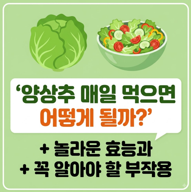 양상추 매일 먹으면 어떤 효능이 있을까?