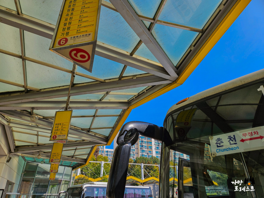 춘천 마라톤 가는 버스