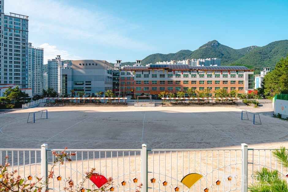 초등학교 결석 지각 조퇴 처리 기준