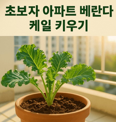 초보자도 쉽게 할 수 있는 아파트 베란다 케일 키우기 사진