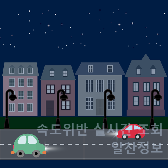속도위반 실시간 조회 방법