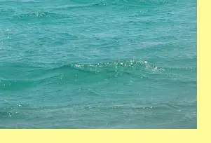 시흥 웨이브파크