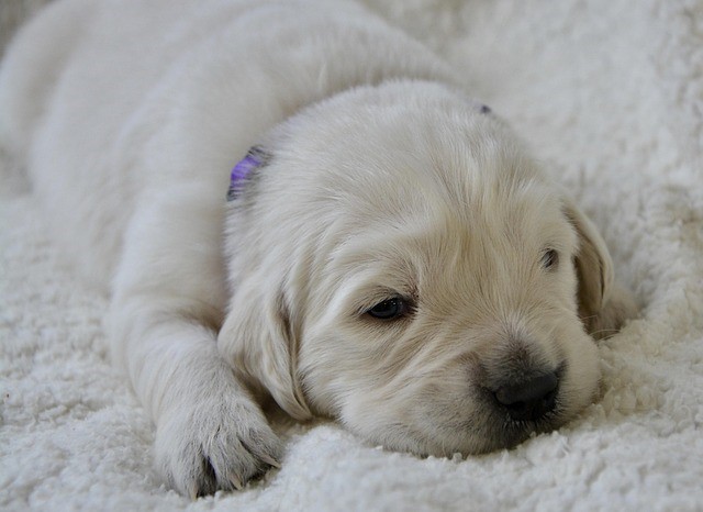 💊 멀미가 심하다면 멀미약 도움받기