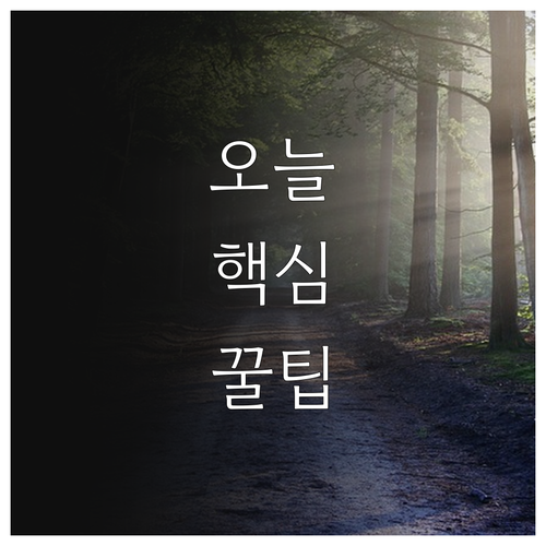 2025 북한이탈주민 영농정착 4단계..