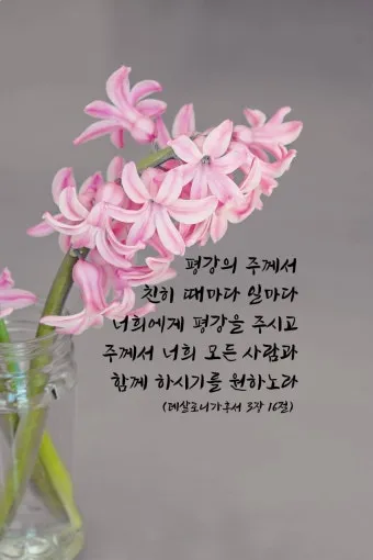 데살로니가후서 3장 묵상 주님의 보호하심_21
