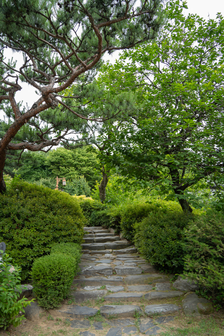 봉녕사 능소화 포토존 가는길