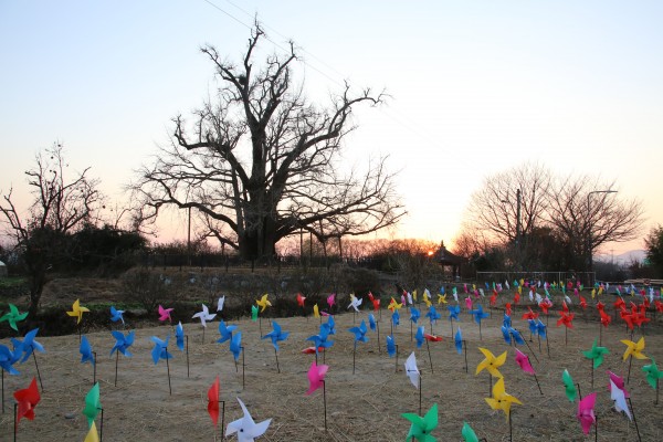 정월대보름 행사