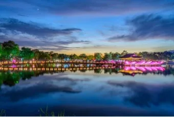 5월 대전 꼭 가볼 만한 여행지 화려한 장미꽃으로 물든 한밭수목원_7