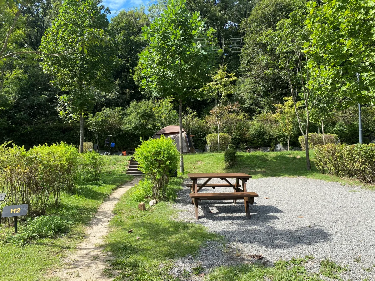 서울근교-당일캠핑-피크닉-가능한-초안산캠핑장-사이트-총정리(주차,통로위치-등)