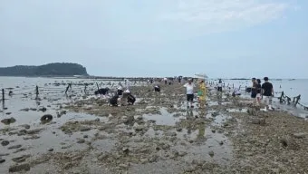 무창포 해수욕장 여행코스 바다 갈라짐 시간표 포함 정리_16