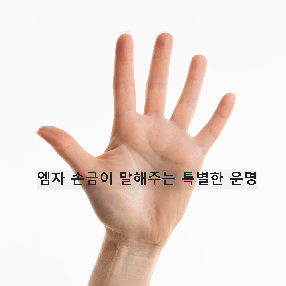 엠자 손금